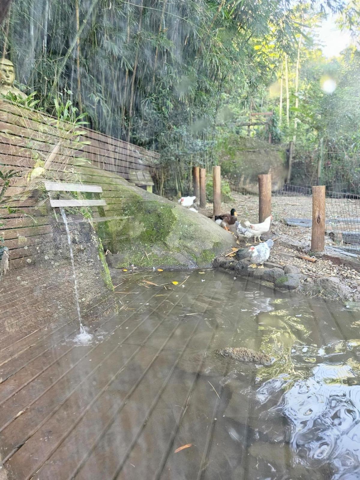 100mts Ribeirao Da Ilha C Espaco Gourmet Casa de férias