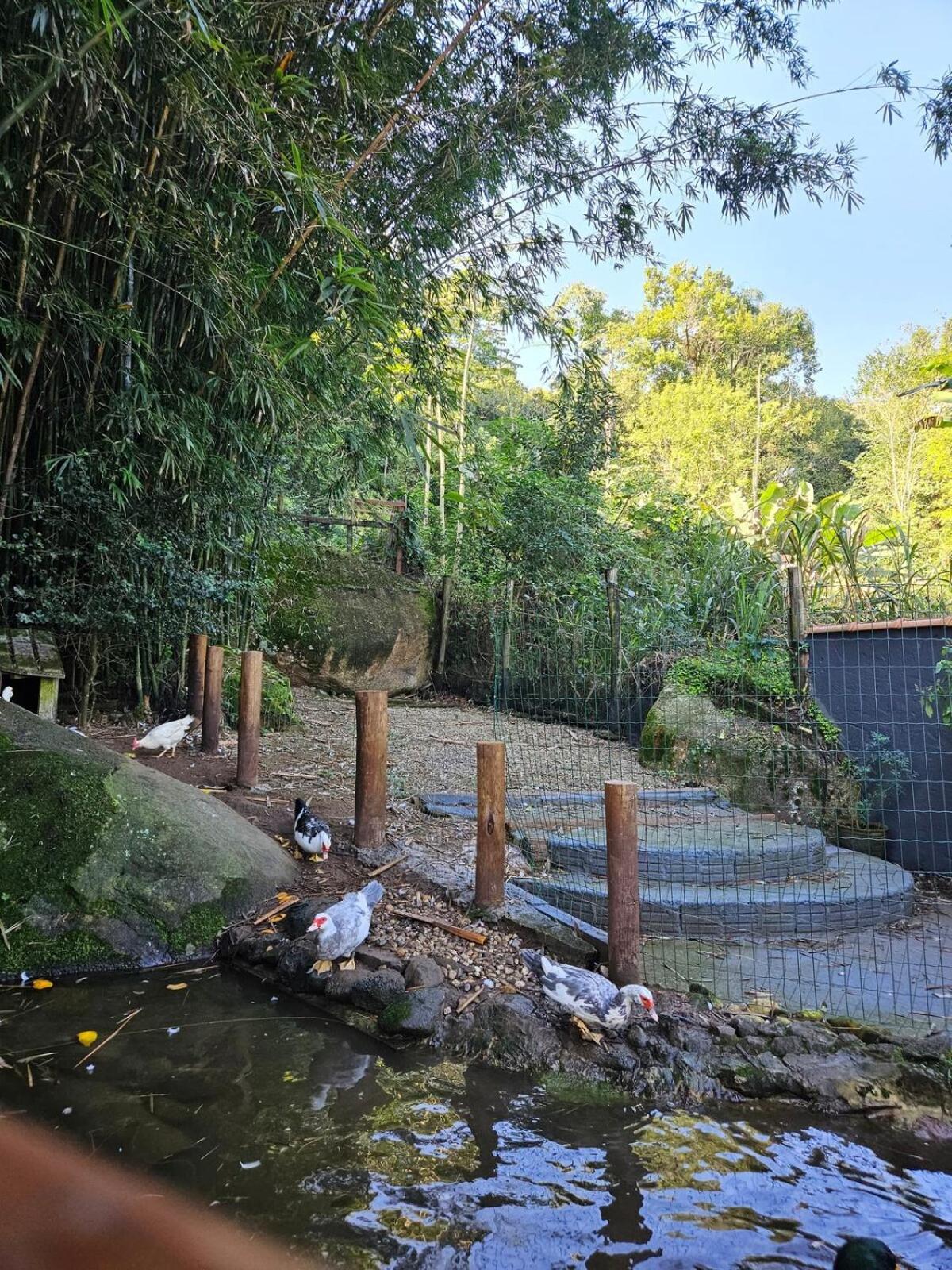 100mts Ribeirao Da Ilha C Espaco Gourmet Casa de férias Florianopolis